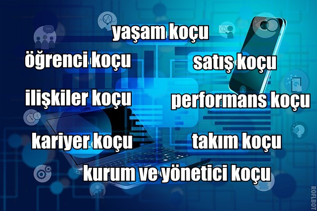 Koçluk Alanları ve Özellikleri